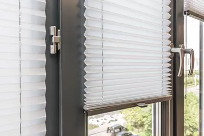 Жалюзи Плиссе № 9