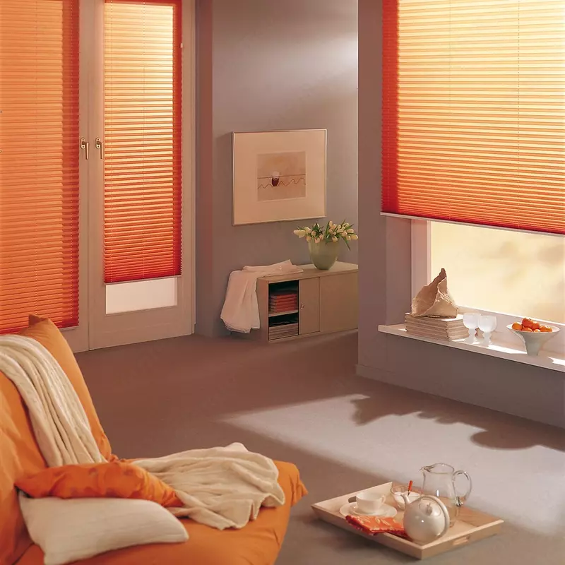 Жалюзи Плиссе № 21