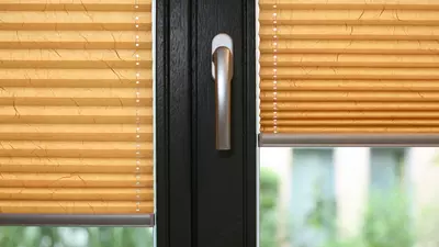 Жалюзи Плиссе № 22