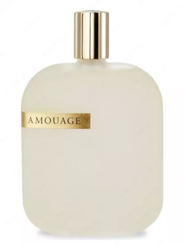 The Library Collection Opus V Amouage