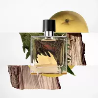 1 650 000 сум Hermes Terre d'Hermes Parfum для мужчин 75мл