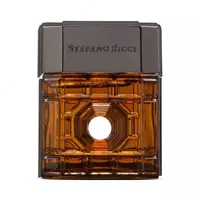 Мужской парфюм Firence Eau de Parfum Stefano Ricci
