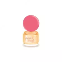 Женский парфюм Want Pink Ginger DSQUARED²