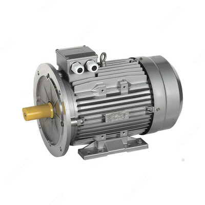 ЭЛЕКТРОДВИГАТЕЛЬ 1 - Цена по запросу