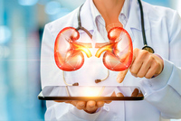  Консультация врача уролога - 