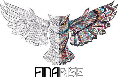 ООО "FINARISE"