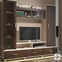 Стенка-полки под телевизор (TV зона) Арт 021