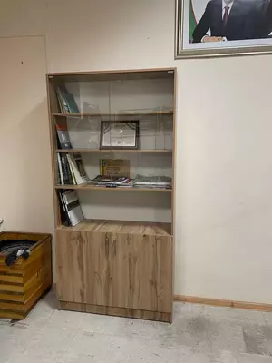 Книжный шкаф