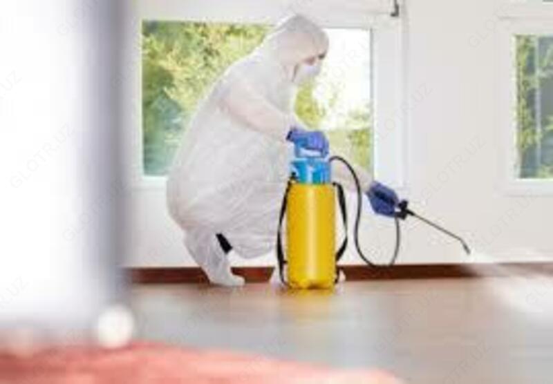  Дезинфекция  обработка от мышей и крыс в 6-комнатной квартире - 