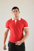 Футболка мужская Polo с логотипом (3) - по запросу