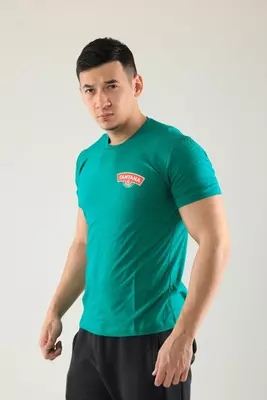 Футболка мужская Polo с логотипом (8)