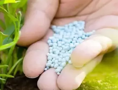 Нитрат калия (калиевая селитра) удобрение АО "Navoiyazot" O