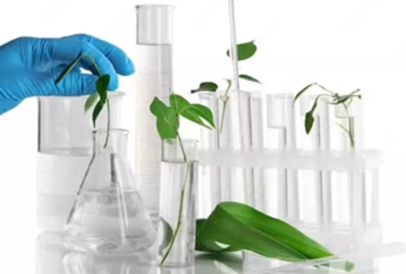 Техническая серная кислота (H₂SO₄) АО "Navoiyazot"