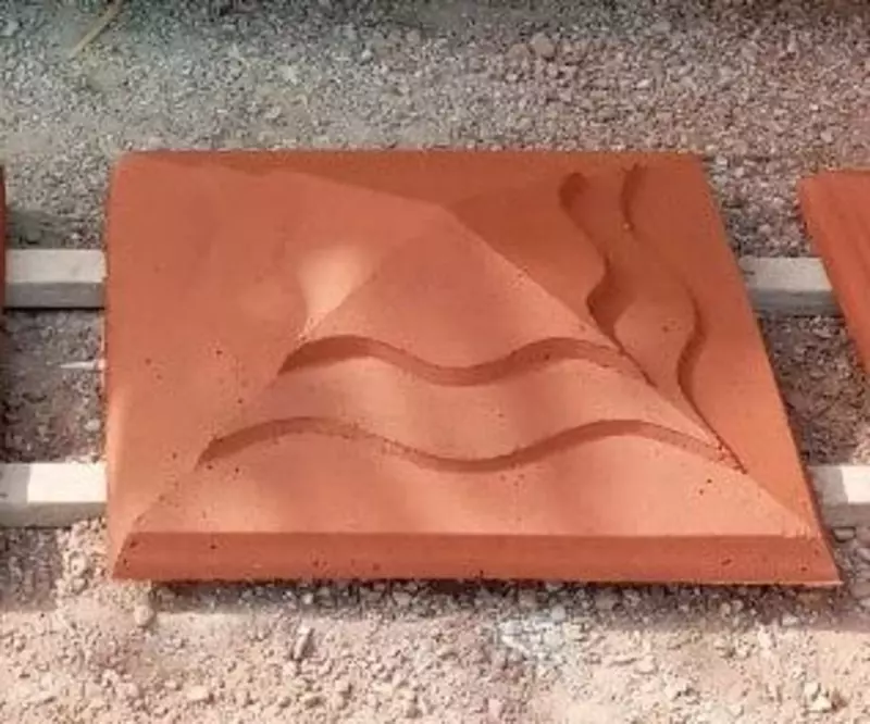 Медуза форма