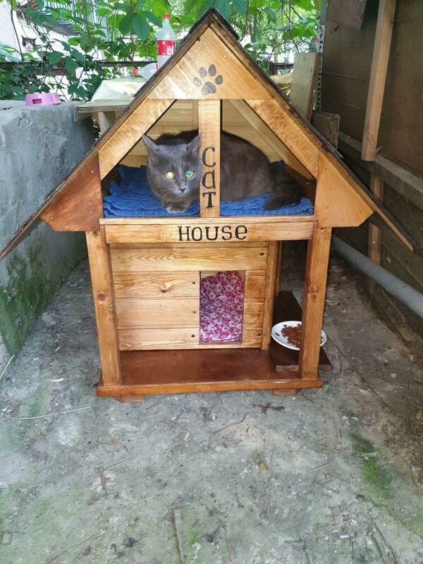 Mushuklar uchun uy qurish