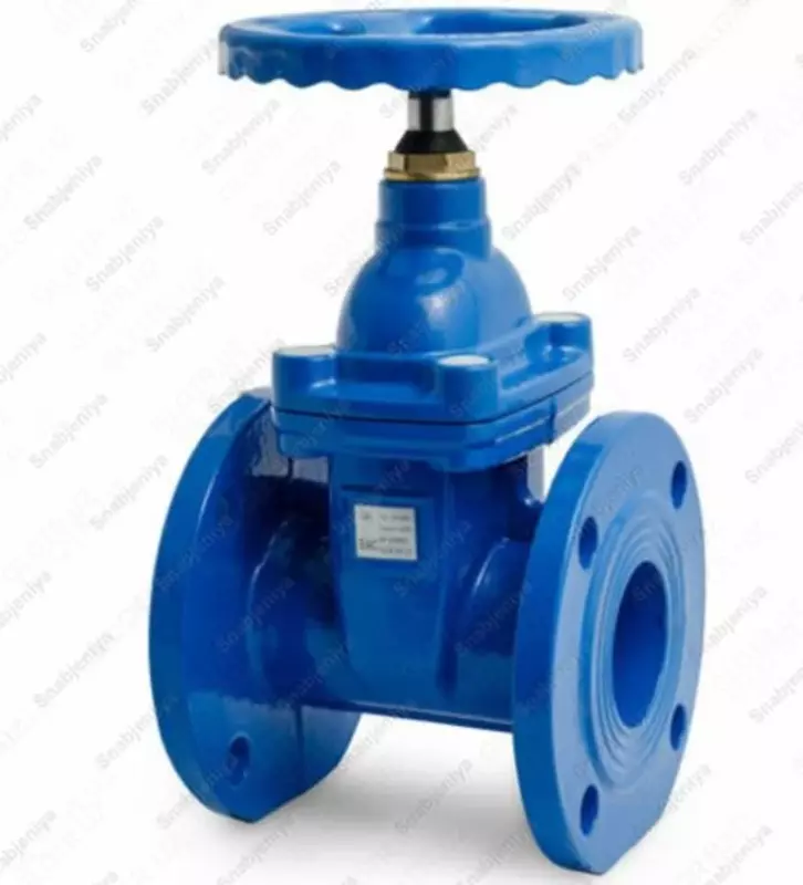 Задвижка чугунная 30ч39р 50 мм