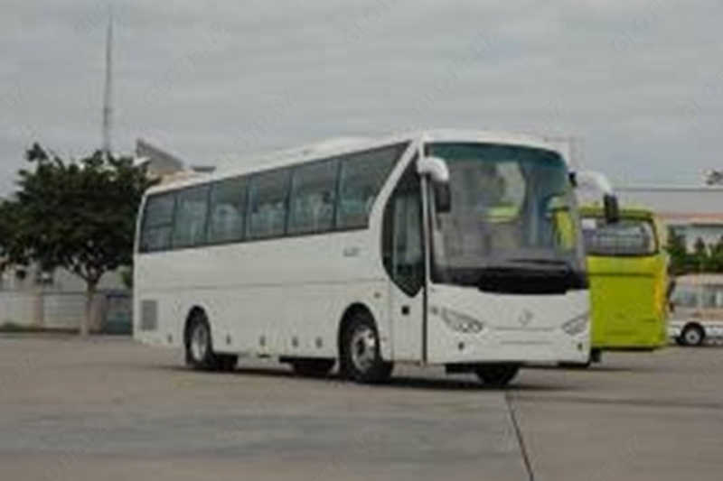 Oltin ajdaho XML6127J13