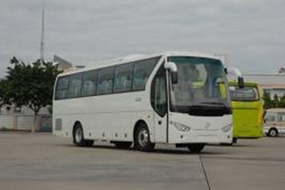 Oltin ajdaho XML6127J13