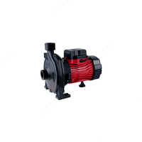 Вихревой насос EVN-130-3