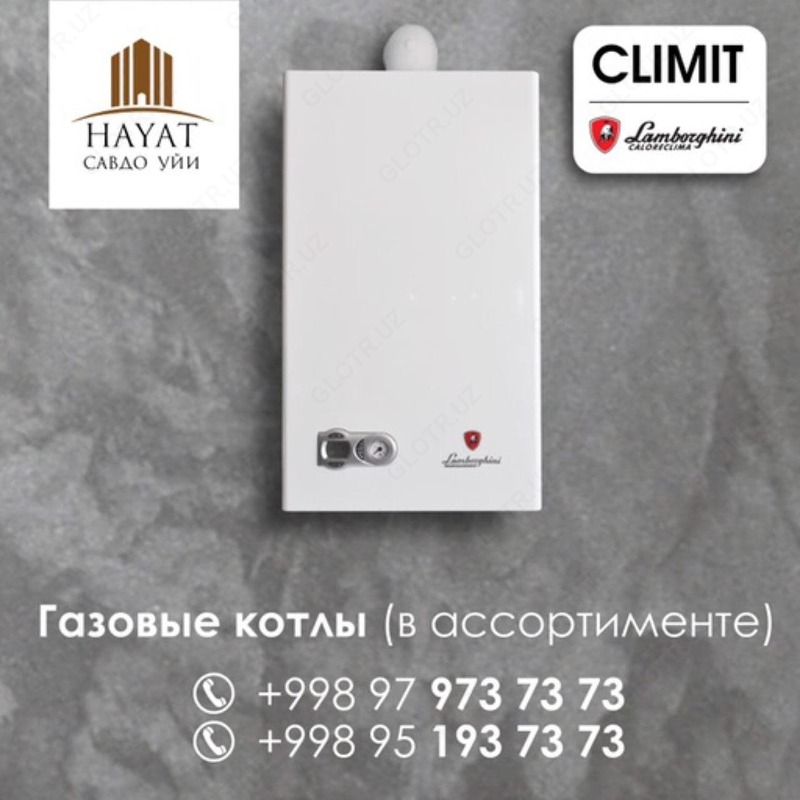 Газовые котлы из Италии - Двухконтурный котёл CLIMIT