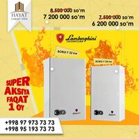 Настенный газовый котёл Lamborghini Borui F 32 kW