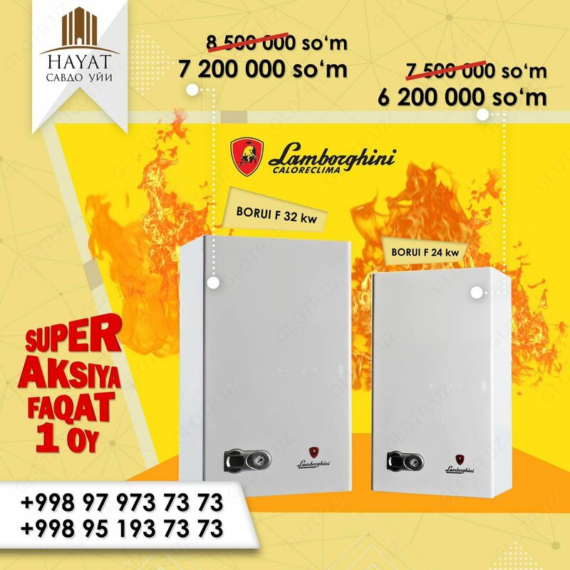 Настенный газовый котёл Lamborghini Borui F 32 kW