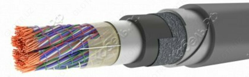 Shahar telefon kabeli TPPepBbShp 100x2x0.4