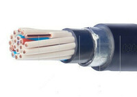 Boshqaruv kabel KVBbShvng 4x2