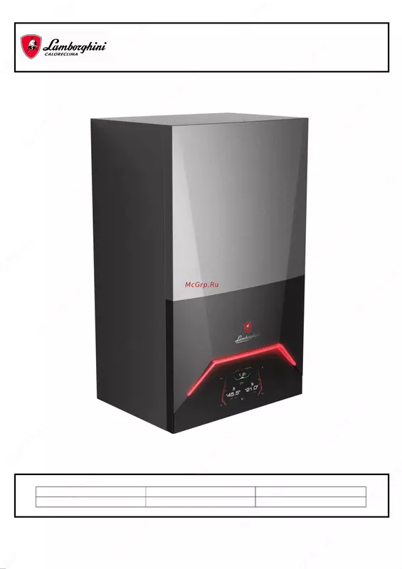 Nastennyy kotel LAMBARGINI ALHENA 24 100