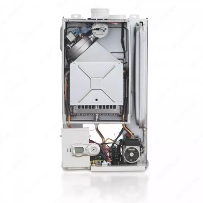  Котёл газовый двухконтурный Lamborghini BORUI F 24 - 