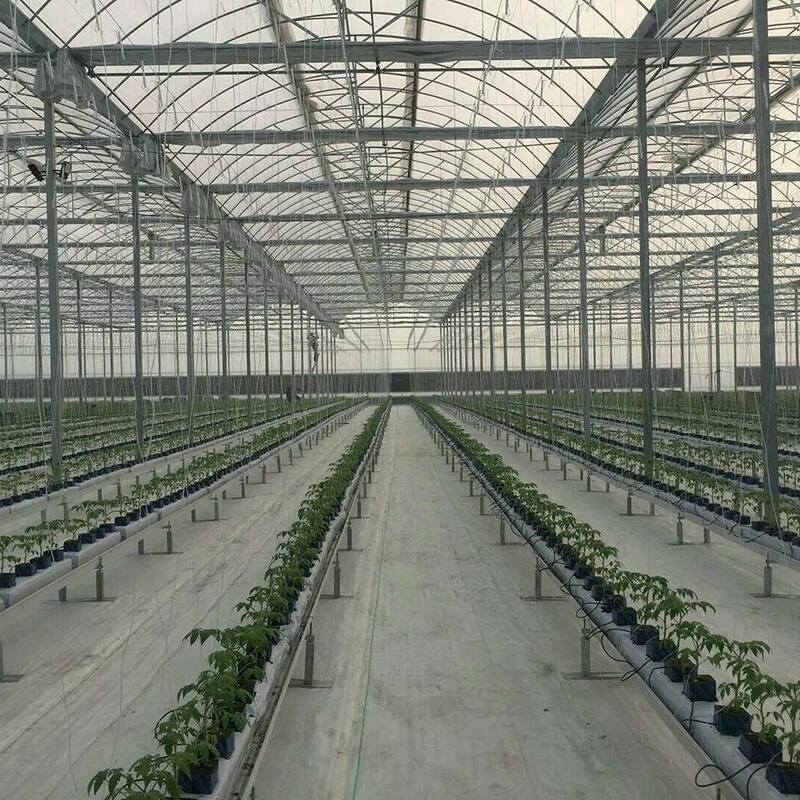  Строительство промышленных теплиц под ключ - 