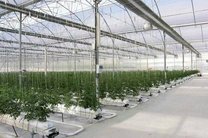   Строительство промышленных теплиц под ключ