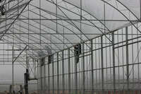  Строительство промышленных теплиц под ключ Только в розницу