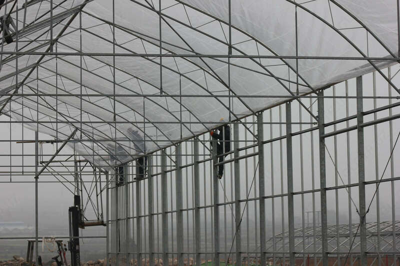  Строительство промышленных теплиц под ключ Только в розницу
