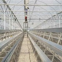  Строительство промышленных теплиц под ключ SEMAK GROUP COMPANY