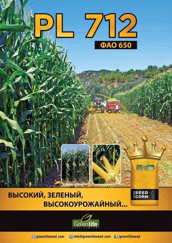 от {0} сум Семена кукуруза (PL-712)
