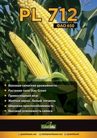Семена кукуруза (PL-712)