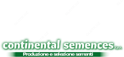 семена люцерна GEA C1 (бэда уруги ГЕА) - от 80 000 сум / шт.