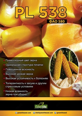 Семена кукурузы - от 1 500 000 сум / шт.