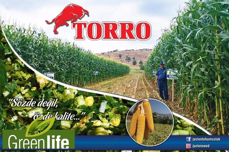 от {0} сум Семена кукуруза (Маккажухори уруги) TORRO