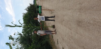 Семена кукуруза (Маккажухори уруги) TORRO - OOO HAMKOR AGRO LUX