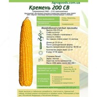 {0} so'mdan Misr urug'lari (Makkazxuxori urugi) Flint 200 ST