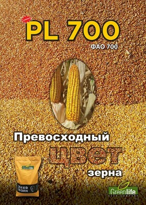 Семена кукурузы PL 700 - от 1 500 000 сум / кг.