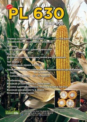 от 1 500 000 сум / кг. Семена кукурузы PL 630