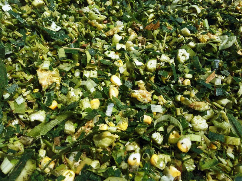 Семена кукурузы HUNTER OOO HAMKOR AGRO LUX