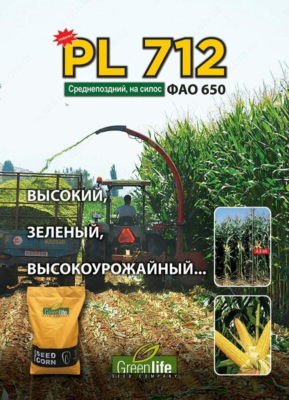 Семена кукурузы PL 712 - от {0} сум