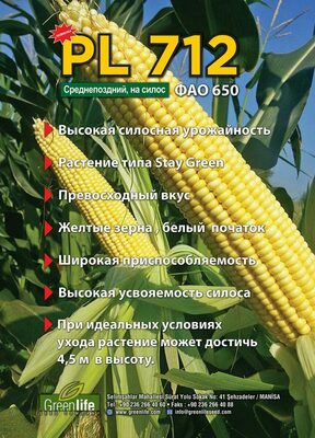 1 500 000 сум / упаковка Семена кукурузы PL 712