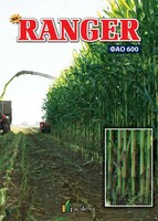 Семена кукурузы RANGER - от 1 500 000 сум