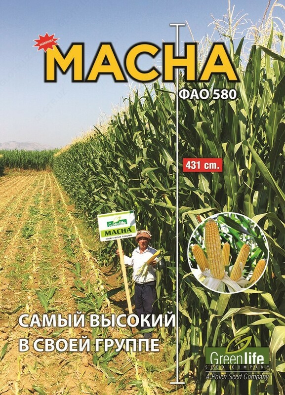 Семена кукурузы MACHA - от 1 500 000 сум