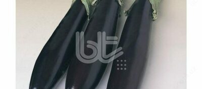 "AIDYN SIAKHI" tarvuz urug'lari - Narx so&#039;rov asosida